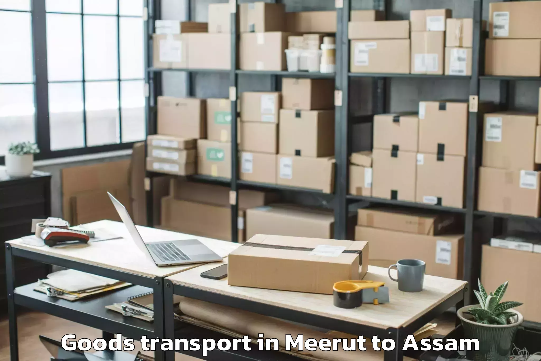 Leading Meerut to Dhing Town Goods Transport Provider